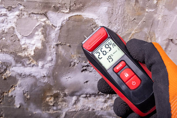 Best Mold Testing and Inspection Services in Nikiski, AK